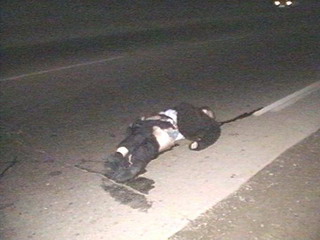 В Хакасии "Тойота" задавила лежащего на дороге мужчину  